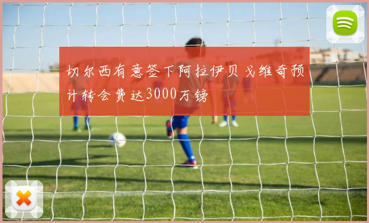 切尔西有意签下阿拉伊贝戈维奇预计转会费达3000万镑